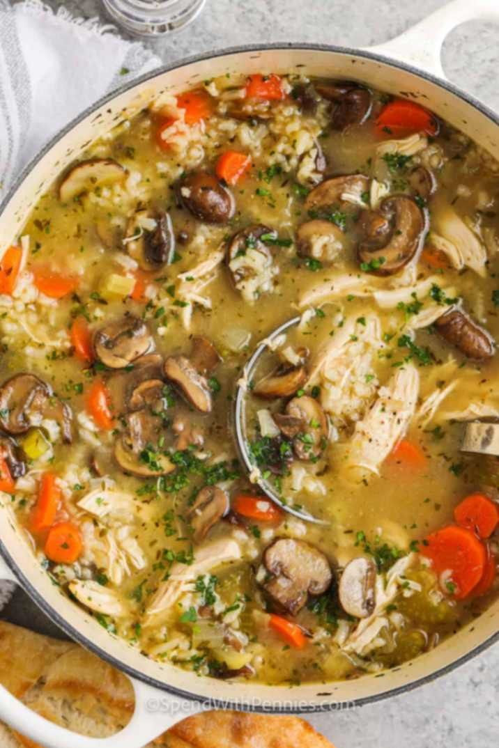 CHICKEN MUSHROOM SOUP